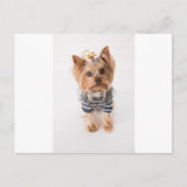 Yorkie-in-Pullover Postkarte (Vorderseite)