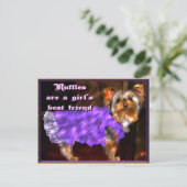 Yorkie in Ruffles Postcard Postkarte (Stehend Vorderseite)