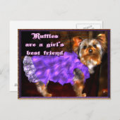 Yorkie in Ruffles Postcard Postkarte (Vorne/Hinten)