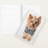 yorkie-in sweater planer (Anzeige)
