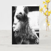 Yorkie Karte (Gelbe Blume)