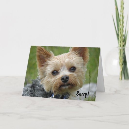 Yorkie Karte (Vorderseite)