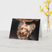 Yorkie Karte (Gelbe Blume)