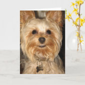 Yorkie Karte (Gelbe Blume)