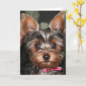 Yorkie Karten (Gelbe Blume)