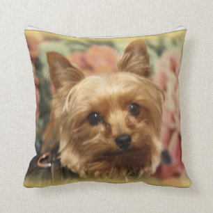 Yorkie Kissen