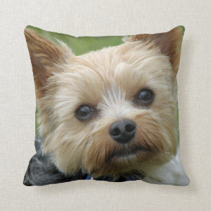 Yorkie Kissen