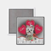 Yorkie Liebe Hug Kisses Magnet (Vorderseite/Rückseite)