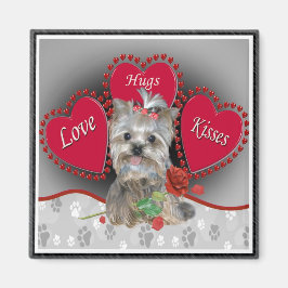 Yorkie Liebe Hug Kisses Magnet