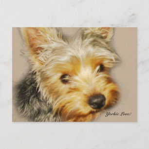 Yorkie Liebe Postcard Postkarte