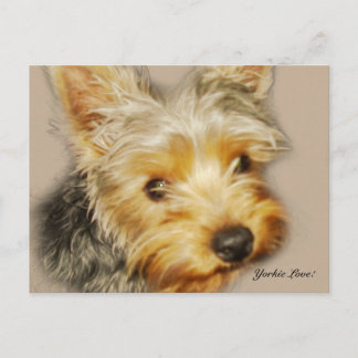 Yorkie Liebe Postcard Postkarte