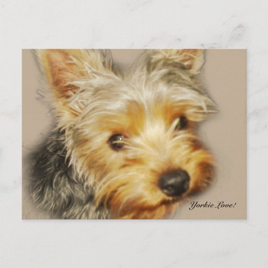 Yorkie Liebe Postcard Postkarte (Vorderseite)