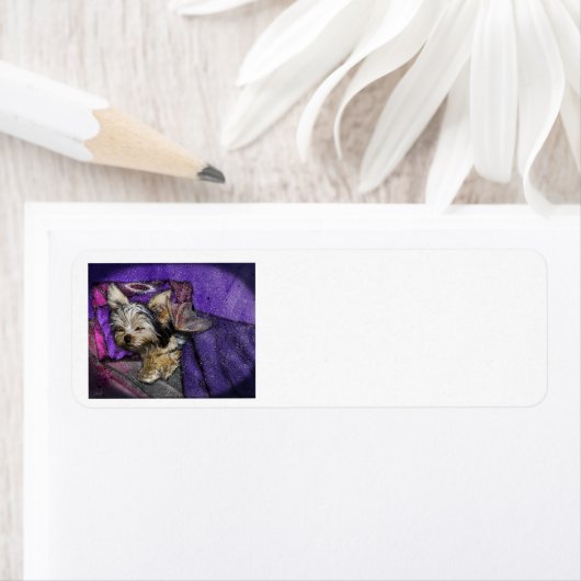 Yorkie Loss Remembranation Rücksendeadresse (Insitu)