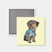Yorkie Magnet (Vorderseite/Rückseite)