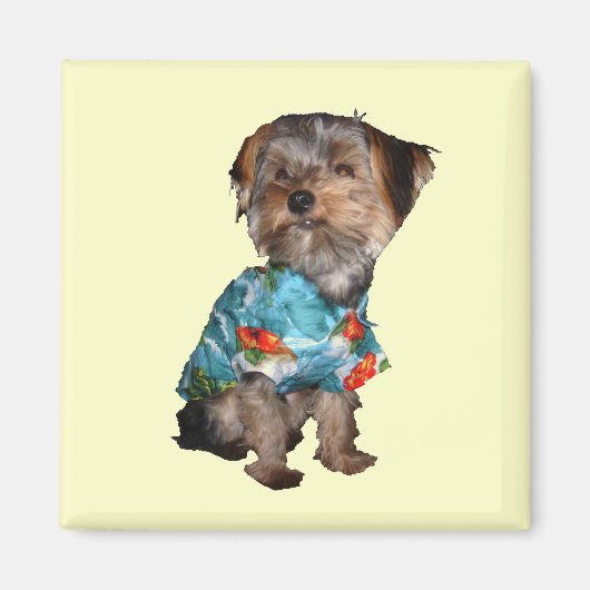 Yorkie Magnet (Vorne)