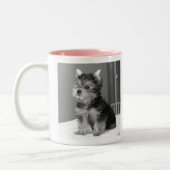 Yorkie Mama-Tasse Zweifarbige Tasse (Links)
