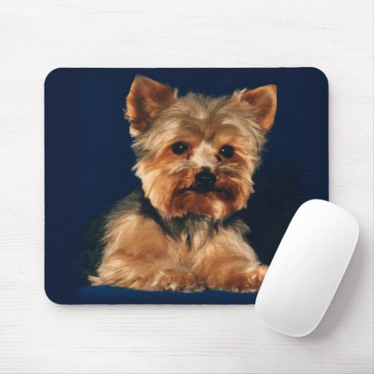 yorkie Mausunterlage Mousepad (Mit Mouse)