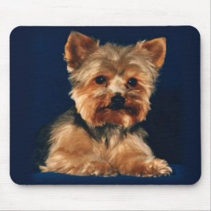 yorkie Mausunterlage Mousepad