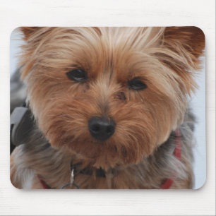 Yorkie Mausunterlage Mousepad
