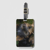 Yorkie mit Stock Gepäckanhänger (Vorderseite Vertikal)