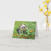 Yorkie-Mitteilungskarten - alles, was man in meine Karte (Gelbe Blume)