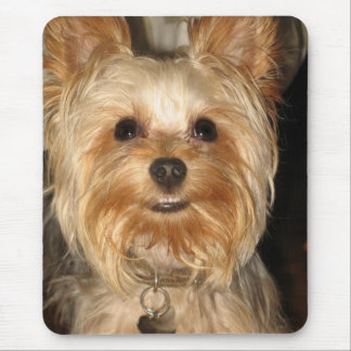 yorkie mousepad