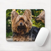 Yorkie Mousepad (Mit Mouse)