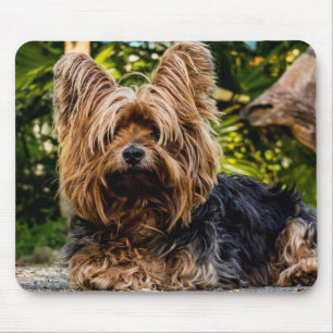 Yorkie Mousepad