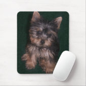 Yorkie Mousepad (Mit Mouse)