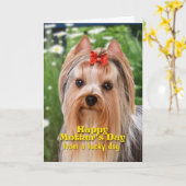 Yorkie-Muttertagskarte Karte (Gelbe Blume)