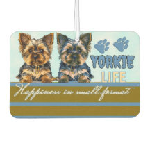 Yorkie niedlich
