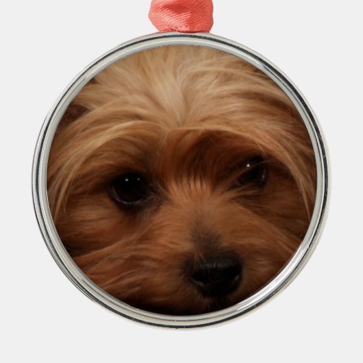 Yorkie oder Dein Hundebild Weihnachten Ornament Aus Metall (Vorne)