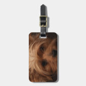 Yorkie oder Ihr Hundebild Gepäckanhänger (Vorderseite vertikal)