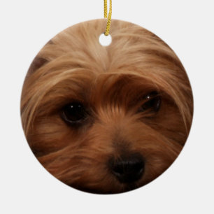 Yorkie oder Ihr Hundebild Keramikornament