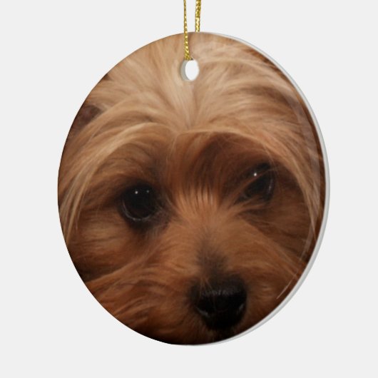 Yorkie oder Ihr Hundebild Keramikornament (Links)