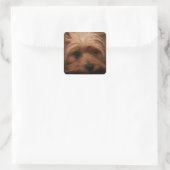 Yorkie oder Ihr Hundebild Quadratischer Aufkleber (Tasche)