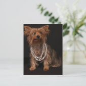 Yorkie Pearls Postcard Postkarte (Stehend Vorderseite)