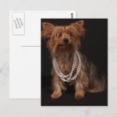 Yorkie Pearls Postcard Postkarte (Vorne/Hinten)