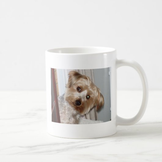 Yorkie Peeking um die Ecke Kaffeetasse (Rechts)