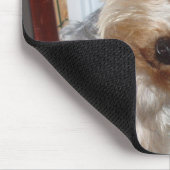 Yorkie Peeking um die Ecke Mousepad (Ecke)