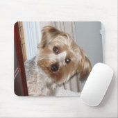 Yorkie Peeking um die Ecke Mousepad (Mit Mouse)