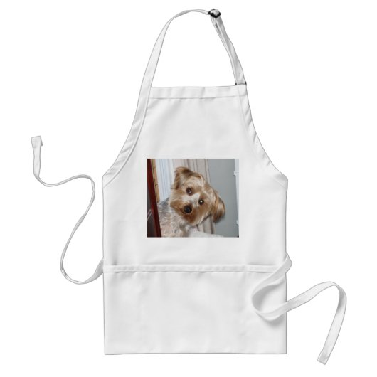 Yorkie Peeking um die Ecke Schürze (Vorne)