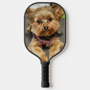 Yorkie Pickleball Schläger