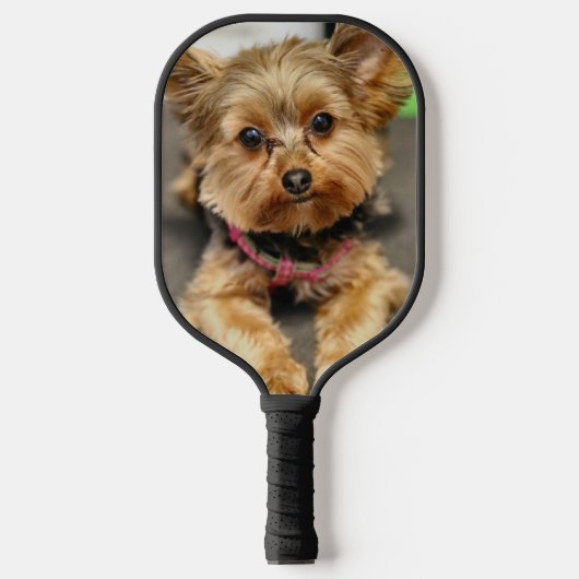 Yorkie Pickleball Schläger (Vorderseite)