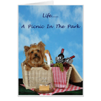 Yorkie Picnic Basket