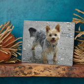 Yorkie Plaque Fotoplatte (Seite)