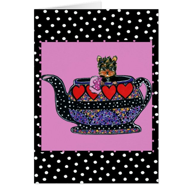 Yorkie Poo (Vorne)