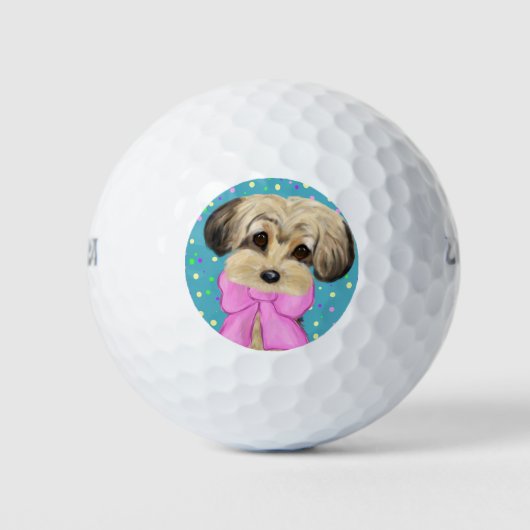 Yorkie Poo Golfball (Vorderseite)