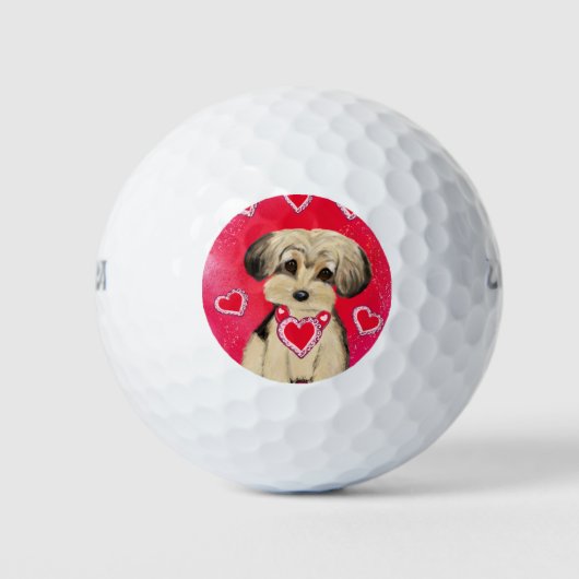 YORKIE POO GOLFBALL (Vorderseite)