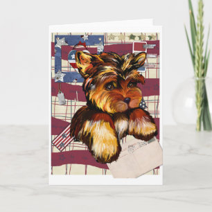 YORKIE POO KARTE